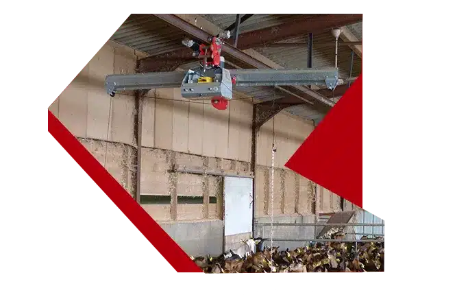 CEB CEB : Chien Electrique